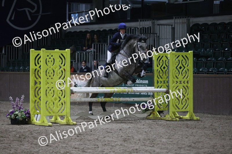 20260125-5098 - Class 5 - 80cm