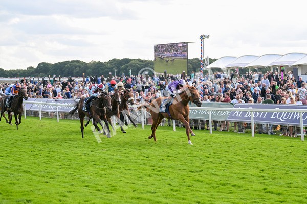 230824-Race 6-Angelo Buonarroti-9881 - Race 6 4.45pm British Stallion Studs EBF Convivial Maiden Stakes