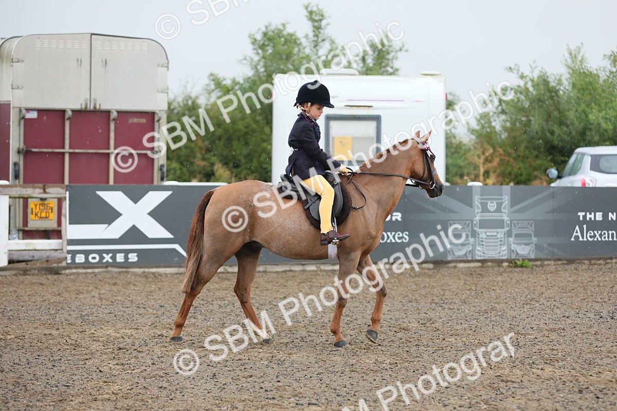 SBM_20538 - Class 804 - Ridden Veteran Pony