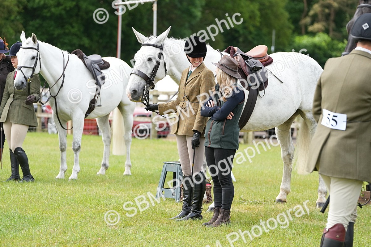 SBM_12755 - Class 97-98 - LIHS BSHA Rising Star Working Show Horse Hunter