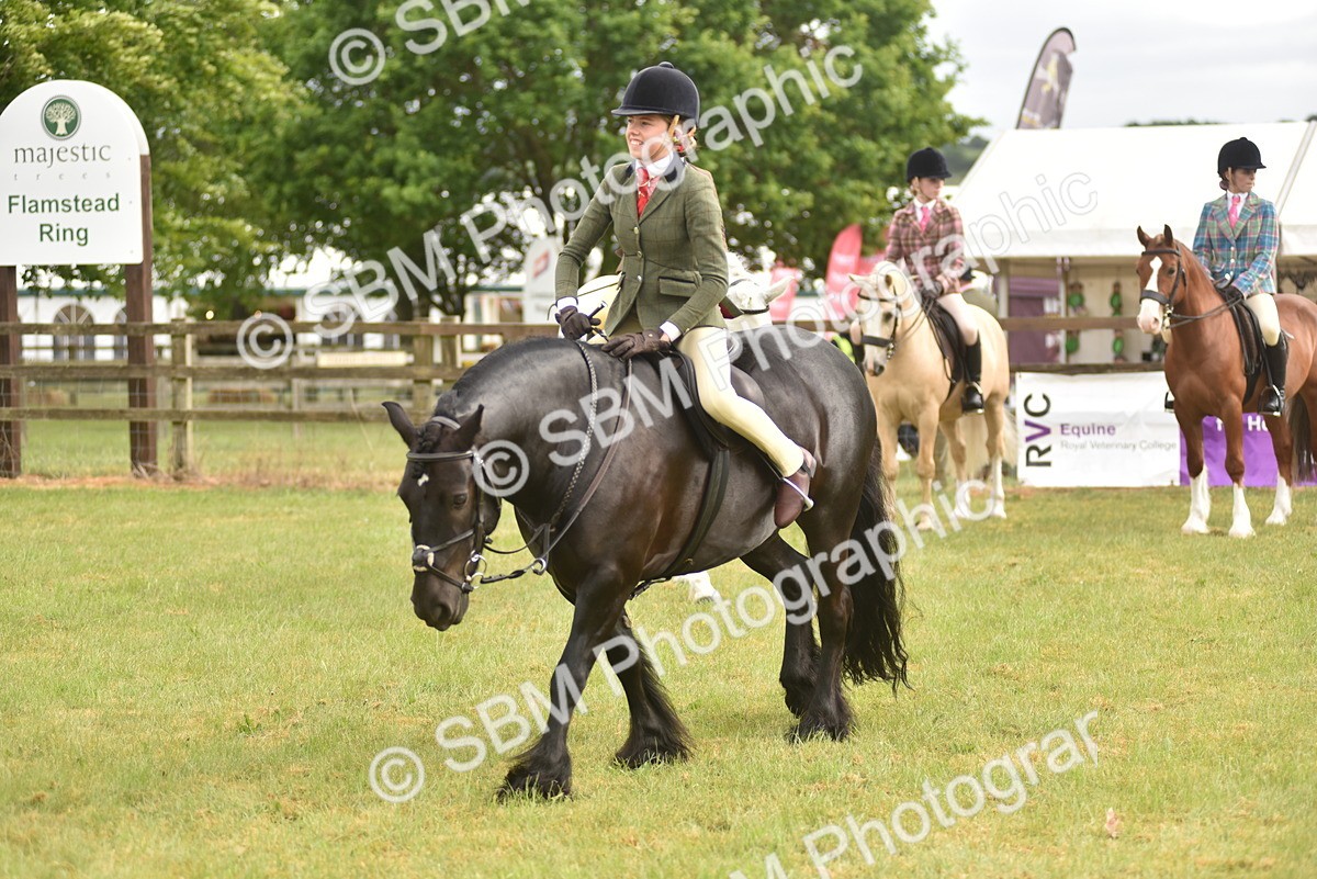 SBM_12055 - Class 110-112 - LIHS BSPS Performance Pones