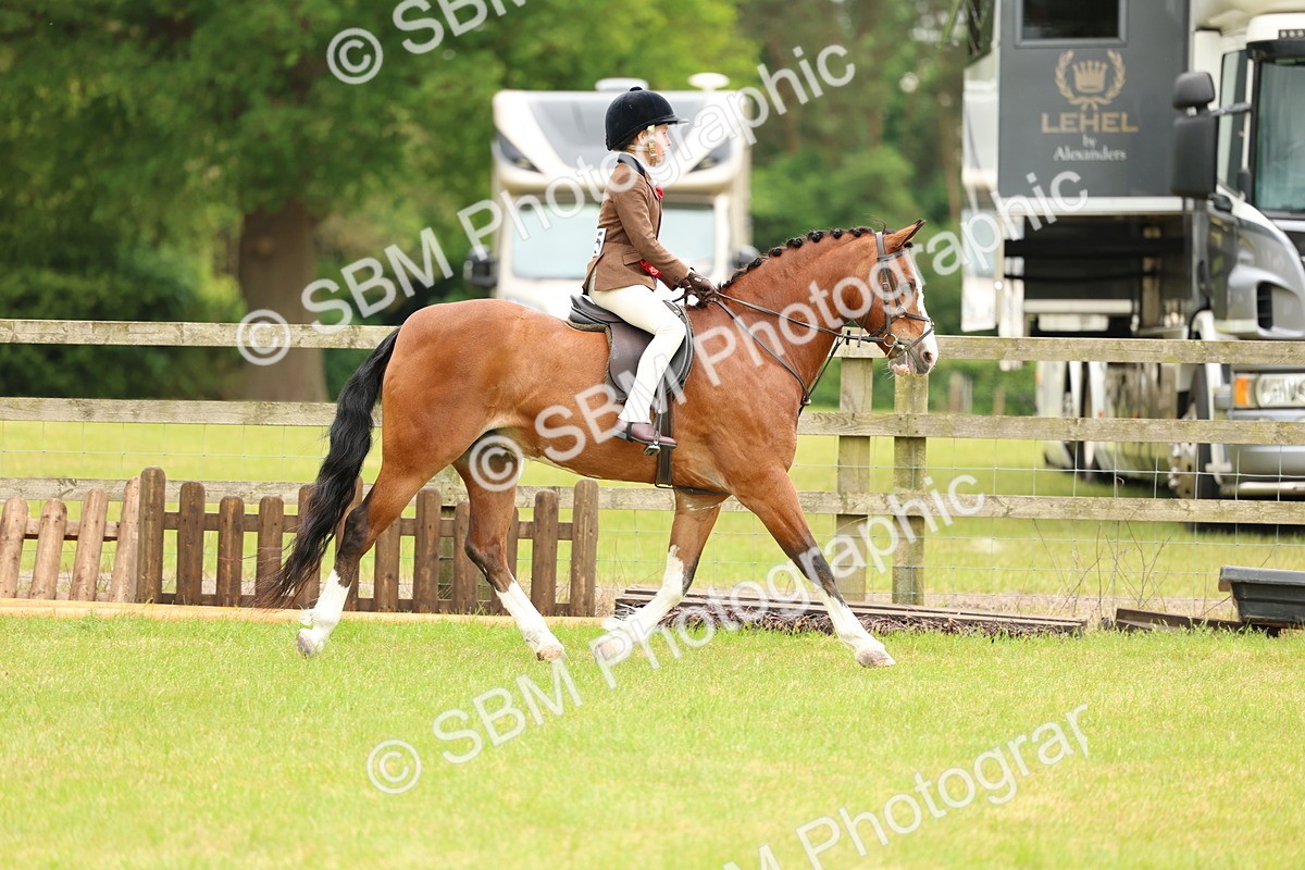 SBM_10453 - Class 44-45 - LIHS BSPS Open Nursery and Cradle Stakes