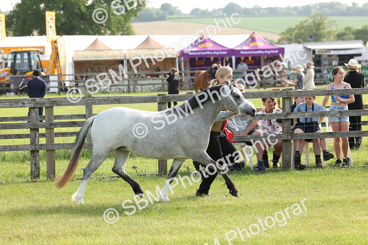 SBM_00623 - Class 6-13 - Mountatin and Moorland In Hand Welsh Breeds