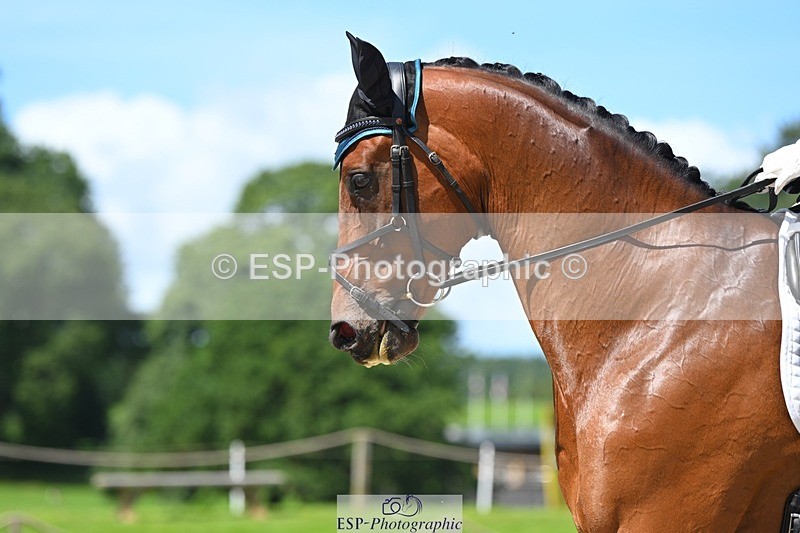 230811-124445-01383 - Cls 4 Adv Medium Silver