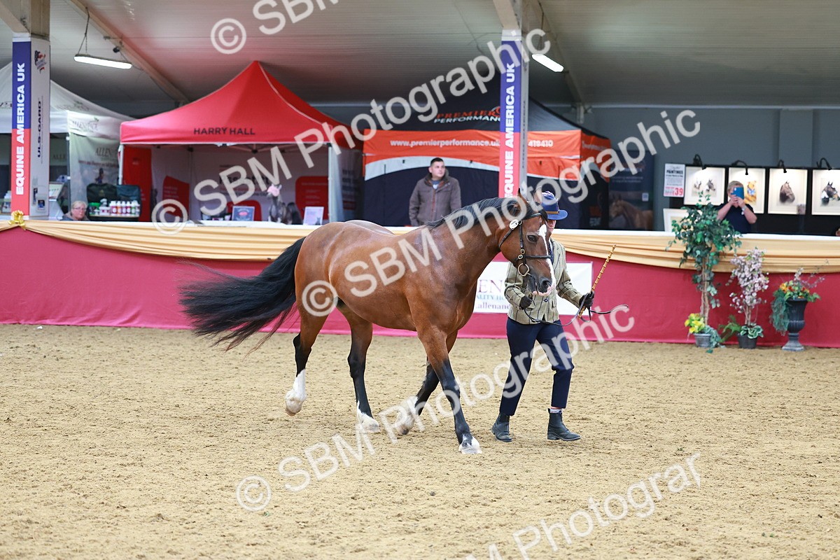 SBM_04220 - Class 9R - IH Pre-Vet