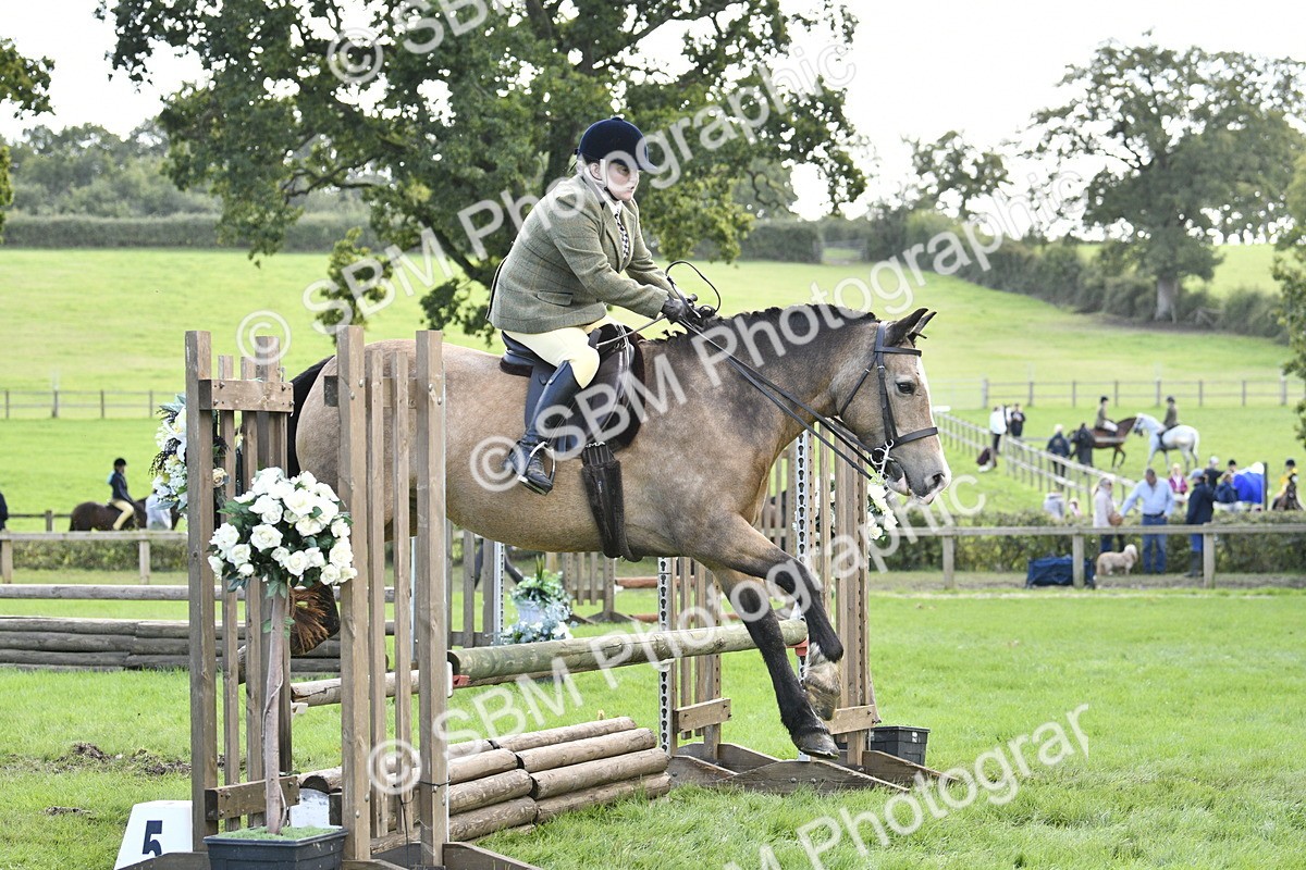 SBM_45757 - S33 - Working Hunter Pony