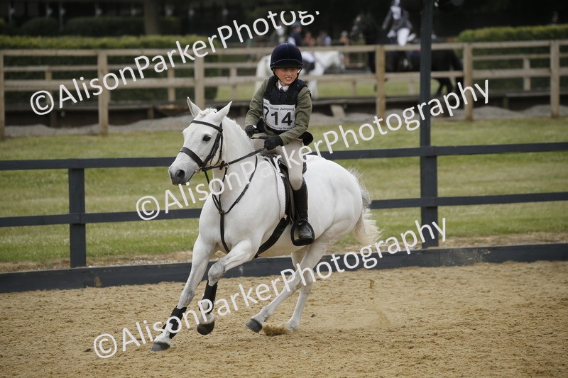 20250622-5894 - 60cm