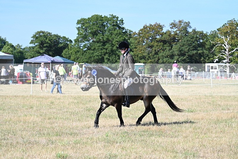 WJ7_3294 - Class 8 Ridden Tack & Turnout