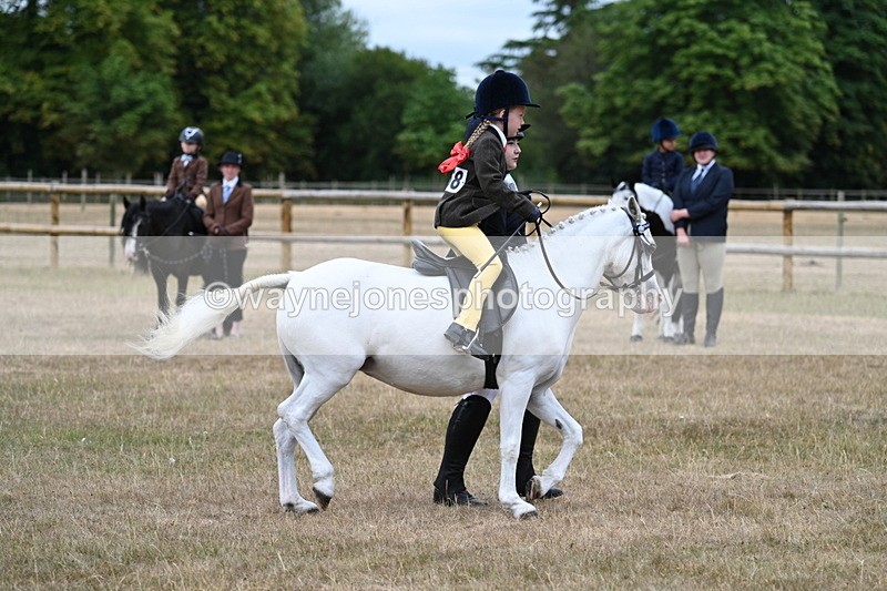 WJ7_6577 - Class 1 Lead Rein Pony