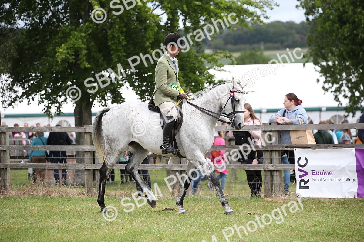 SBM_14261 - Class 113-114 - Retraining of Racehorses Ridden