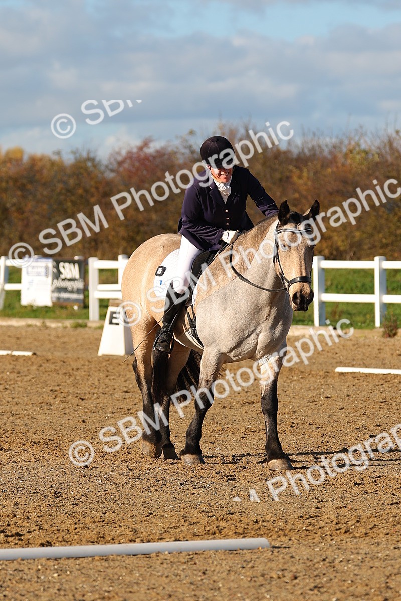 SBM_001559 - Medium 3