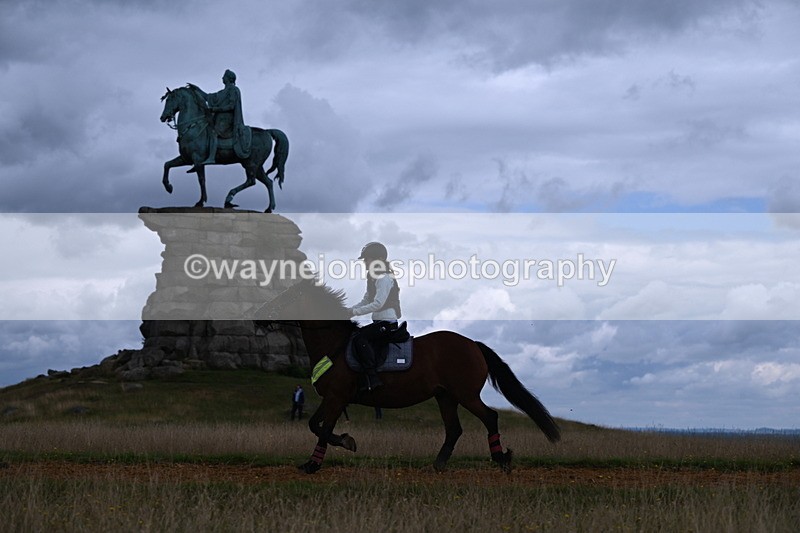 DSC_7302 - Time at Statue 13:16 to 13:52