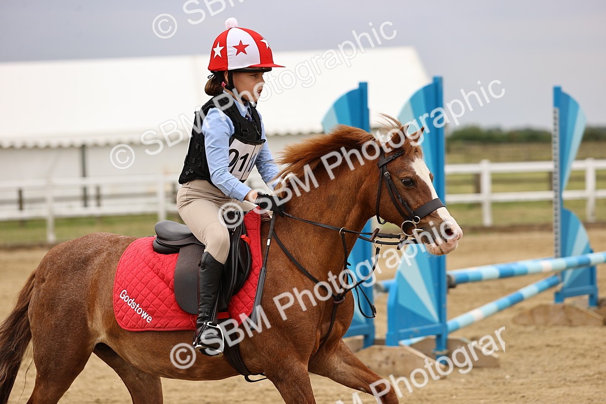 SBM_002181 - Class 3 - 60cm