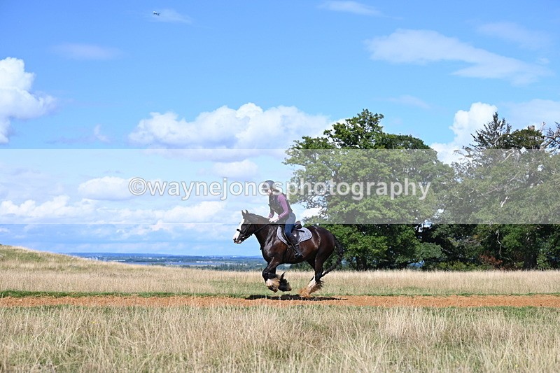 DSC_0117 - Time at Statue 15:58 to 16:05