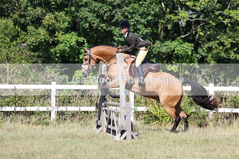 3E7A5818 - Class 5: Working Hunter 90cm