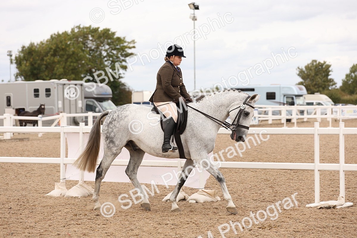 SBM_17188 - Class 213 - Ridden Hunter - Large