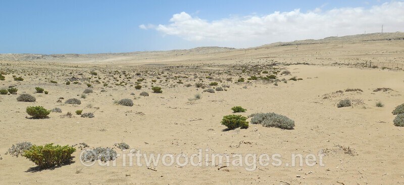 Namibia Ludertitz Kolmanskop view and desert floor 2 - Namibia, Southern Africa