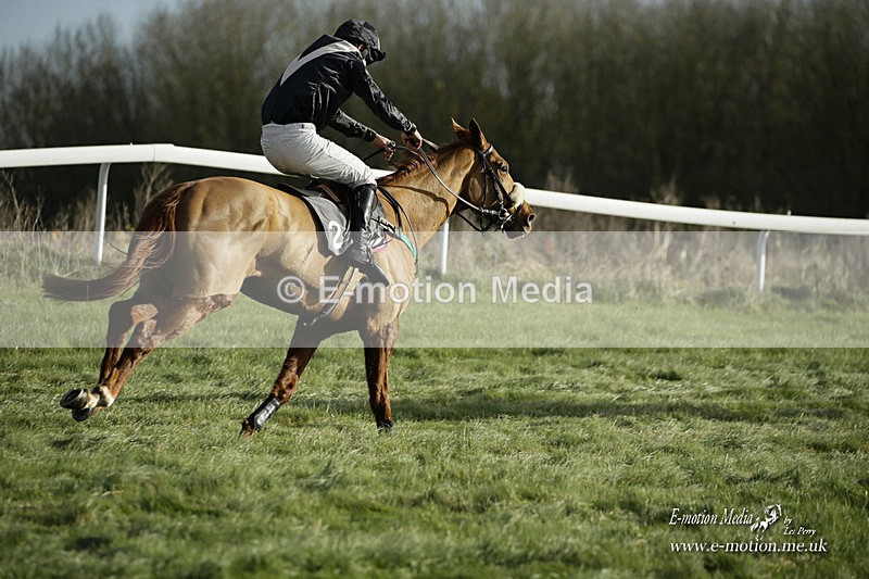 PtP 281121 0164 - Hursley Hambledon Point-to-Point Larkhill 28/11/21