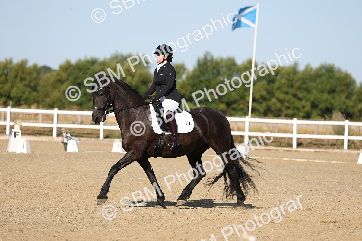 SBM_012649 - Class 1 - P5 Bronze 9.00.10.12