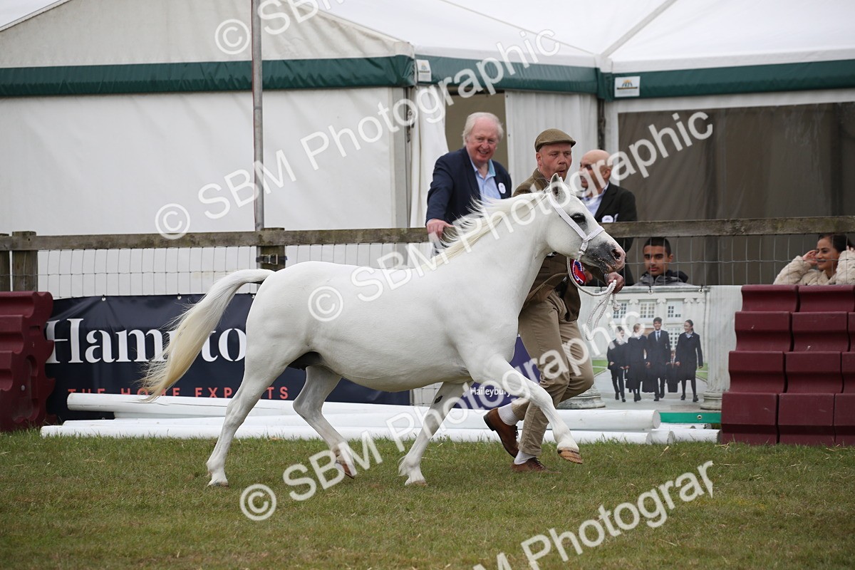 SBM_09776 - Ch 50 - Price Family Supreme In Hand