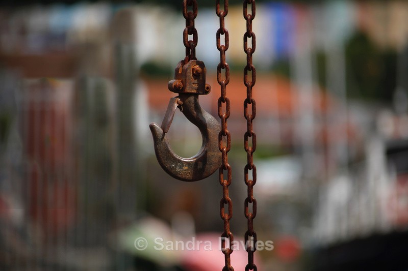 Hooked - Abstract, Macro & Misc.