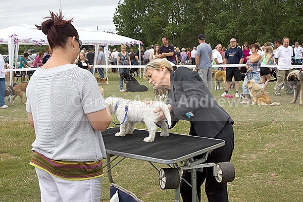  - Spirit of the Dog Funday July 2010