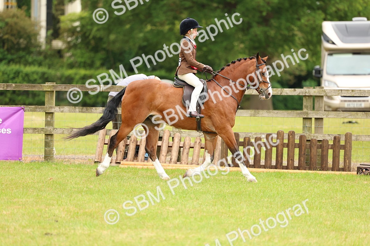 SBM_10452 - Class 44-45 - LIHS BSPS Open Nursery and Cradle Stakes