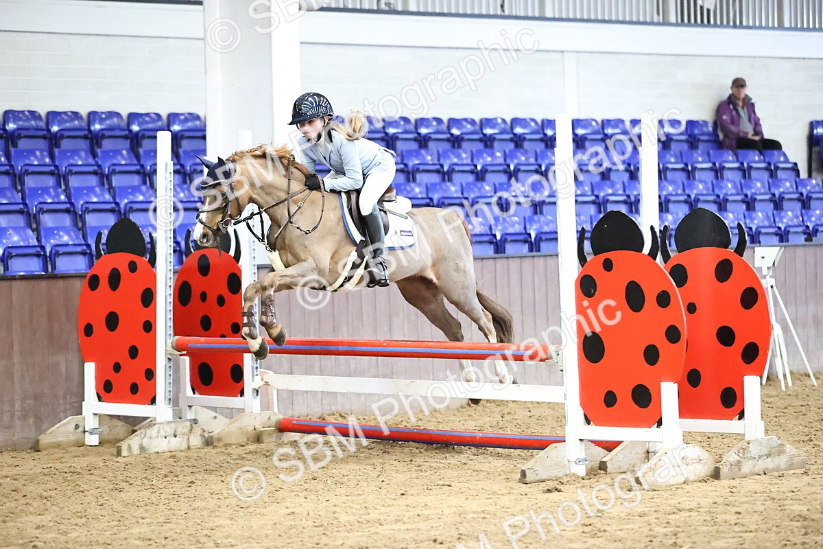 SBM_001496 - Class 9 - Pony British Novice 80cm