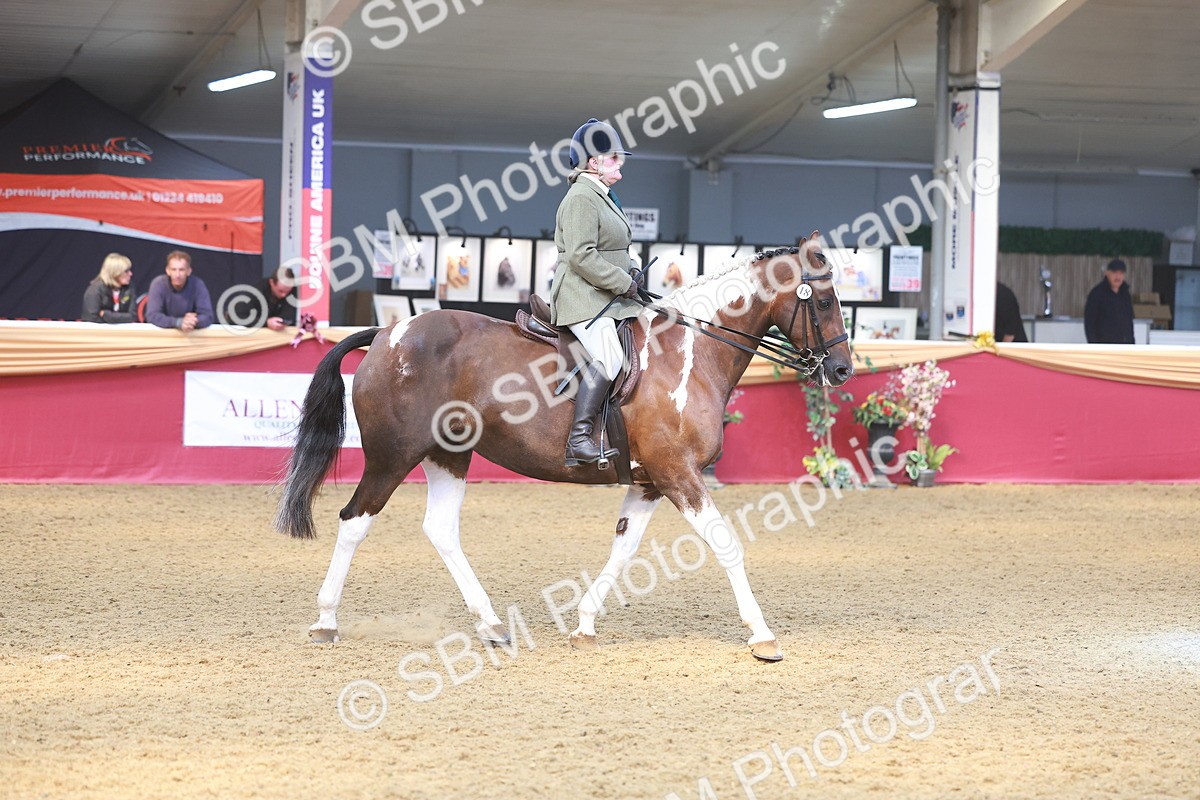 SBM_12521 - Class 103 - HOYS Veteran Qualifier - Ridden Pre Vet
