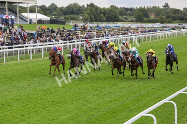 120724-Race 2-Flora Of Bermuda-1626 - Race 2 2.40pm William Hill Summer Stakes