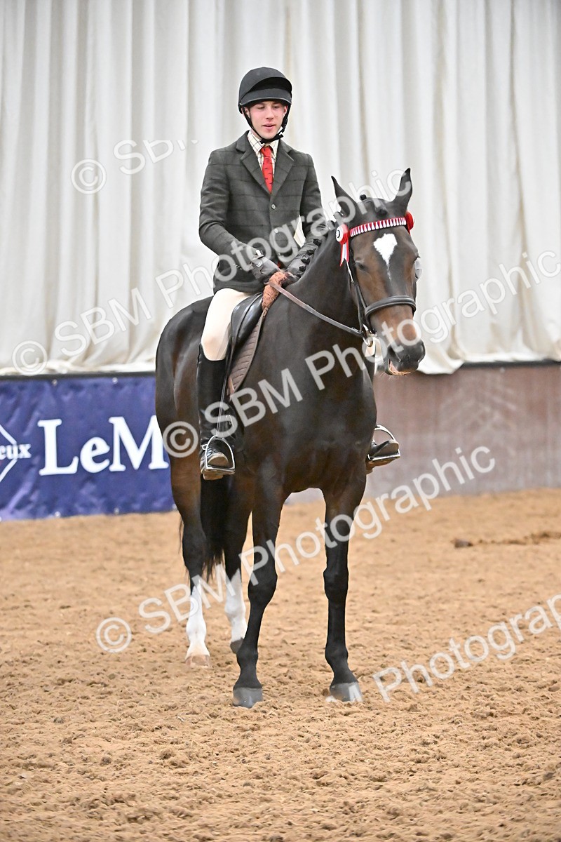 SBM_002360 - Class 22 - BSHA Ridden Hack & Riding Horse