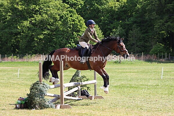 IMG_4204 - Working Hunter