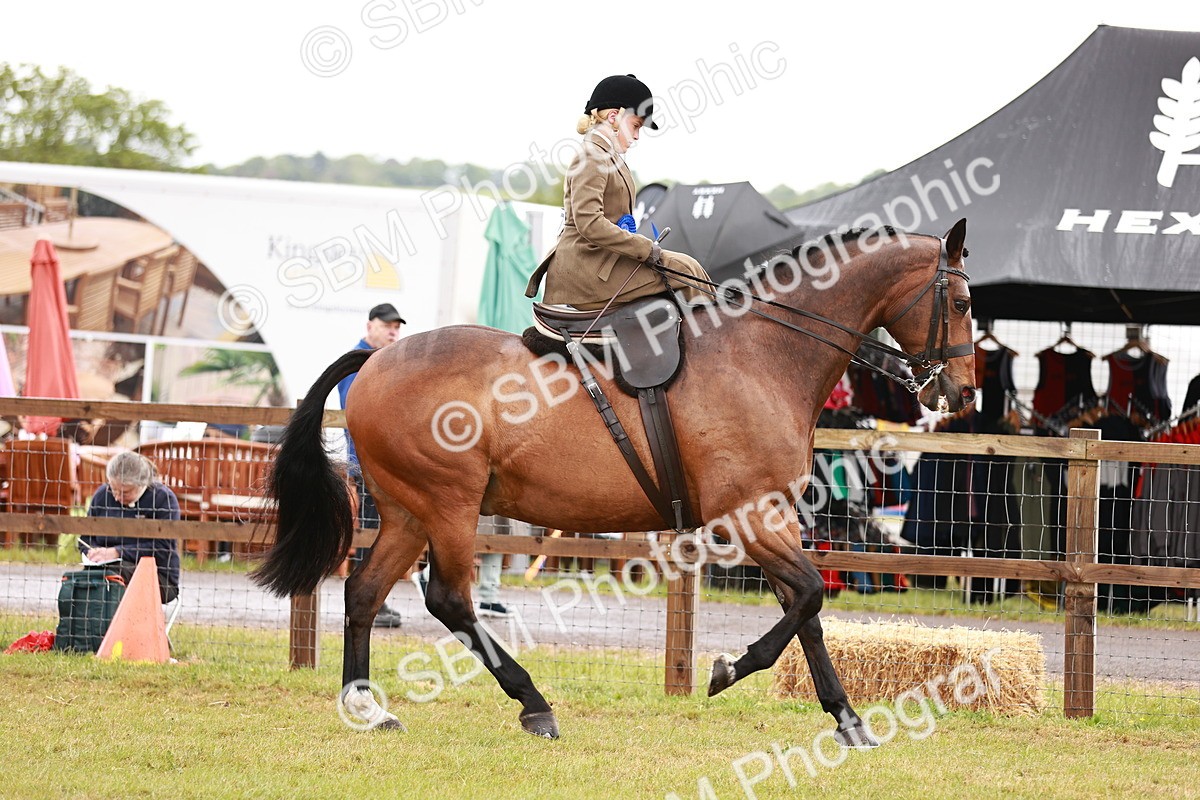 SBM_11016 - Class 81-84 - RIHS Ridden hunters Inc Ladies Hunter