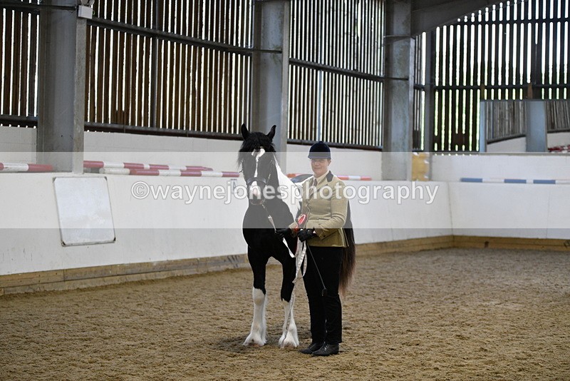 WJ5_5142 - Class 7 In hand coloured / odd coloured