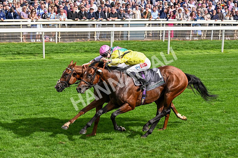 190826-Race 4-Item-0492 - Race 4 15.35pm Juddmonte International Stakes