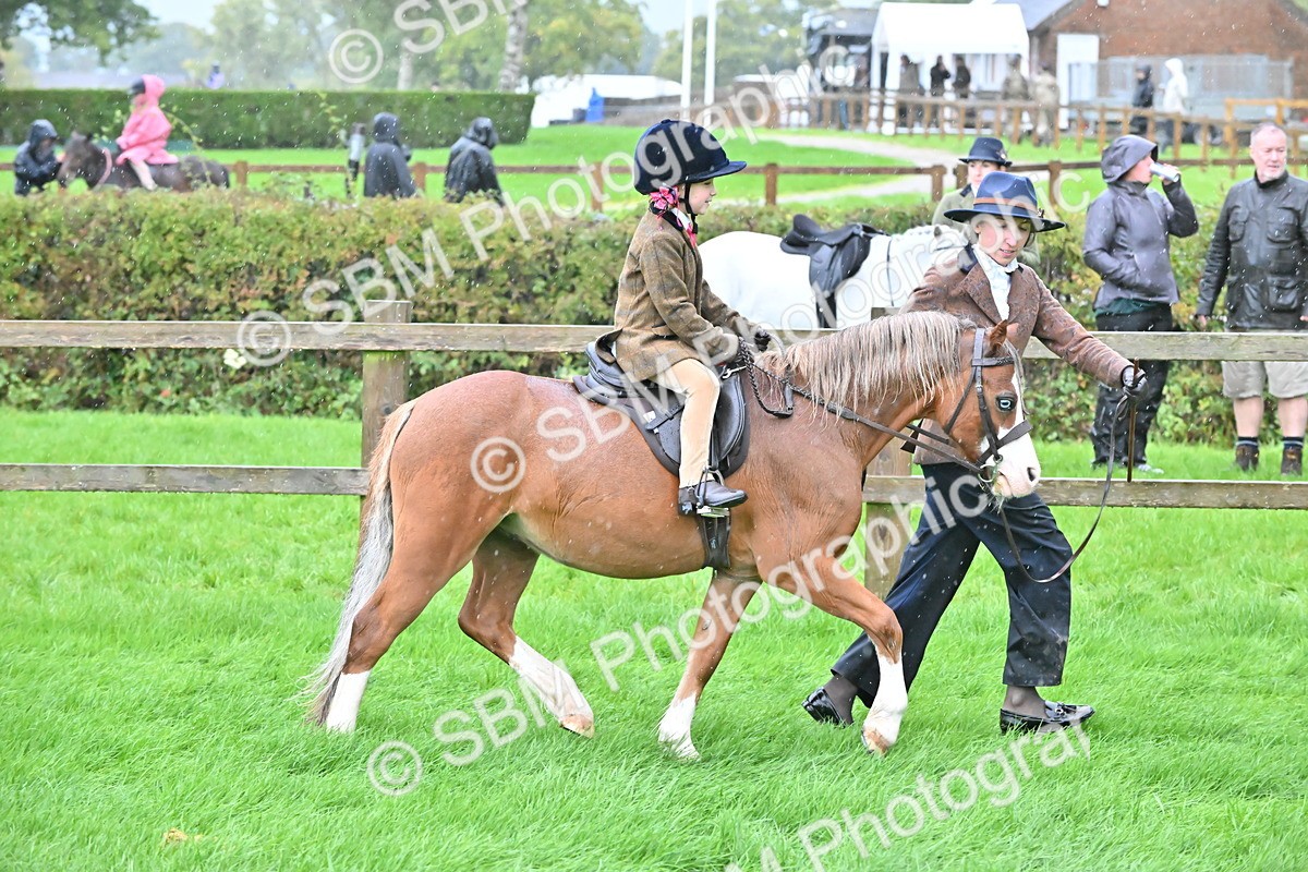 SBM_36487 - S18 - Novice & Newcomer Lead Rein Pony