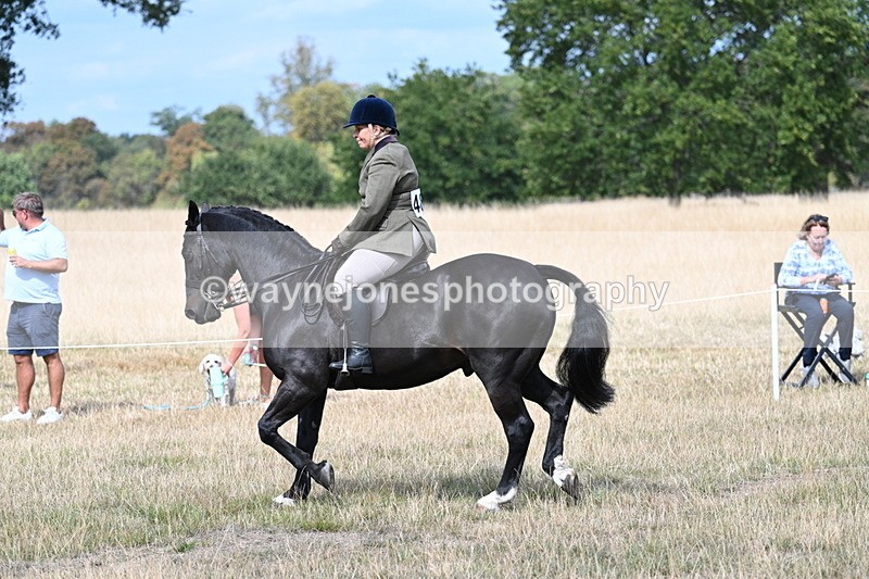 WJ7_5869 - Class 13 Ridden Veterans