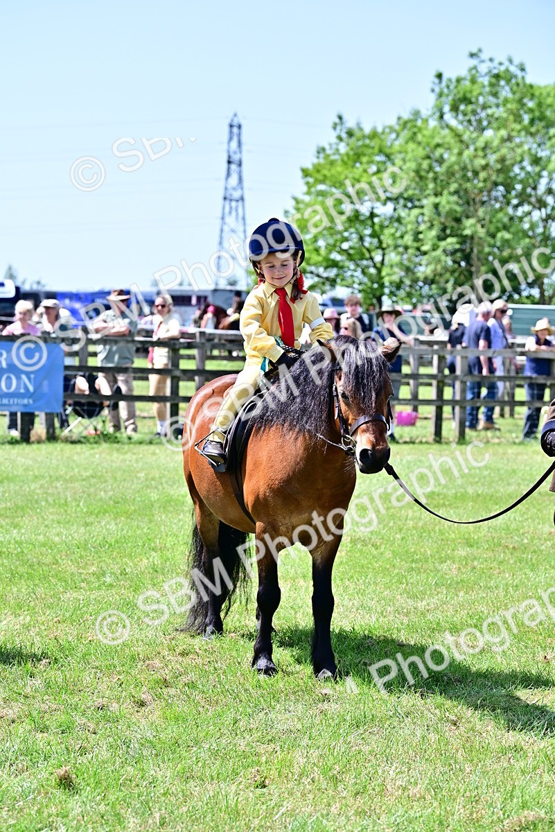 SBM_05988 - Class 59-60 - TSR M&M  Lear Rein and First Ridden Amateur of the year