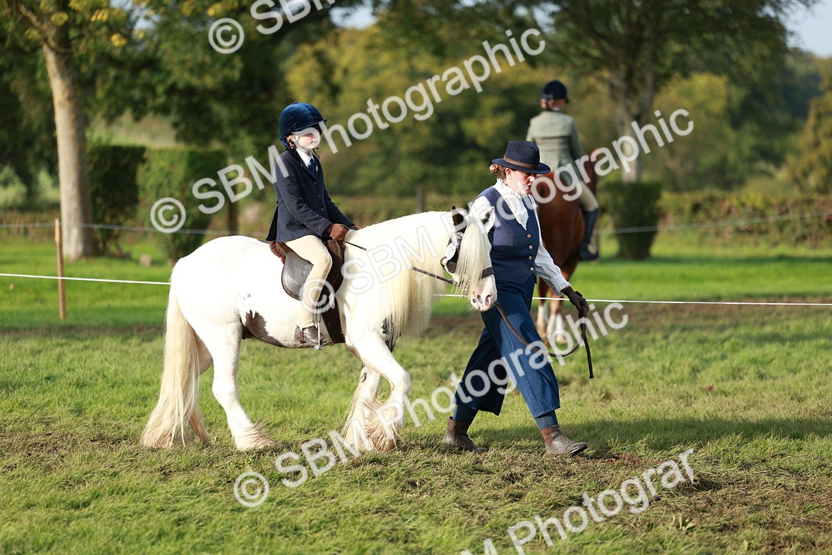 SBM_56247 - S39 - Starters In Hand Showing