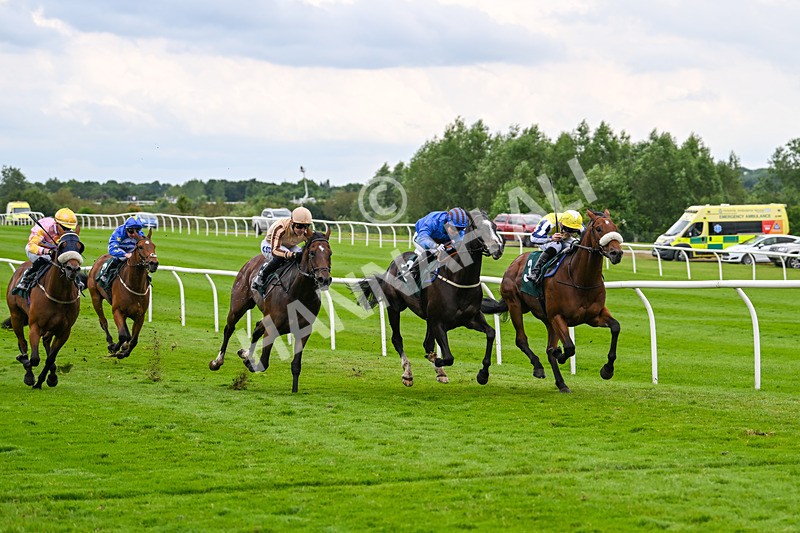180624-Race 4-Animate-0438 - Race 4