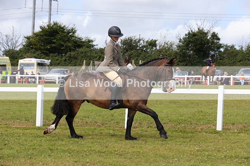 1X9A3983 - Class 32: Show Hunter Pony 153cm and under