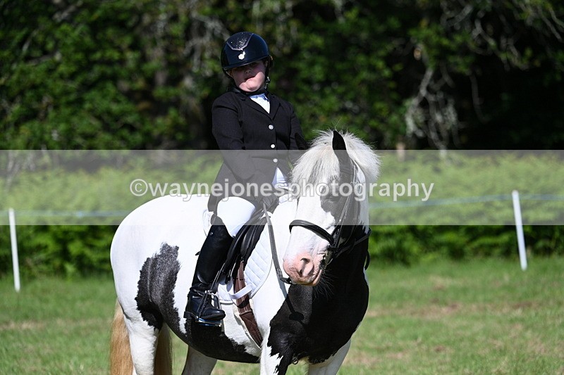 WJ7_0427 - Class 8 First Rally Pony