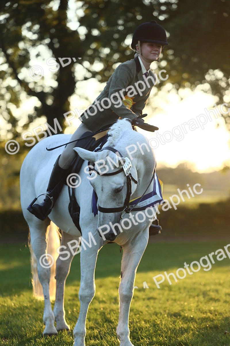 SBM_56678 - Fun & Versatile Supreme Championship