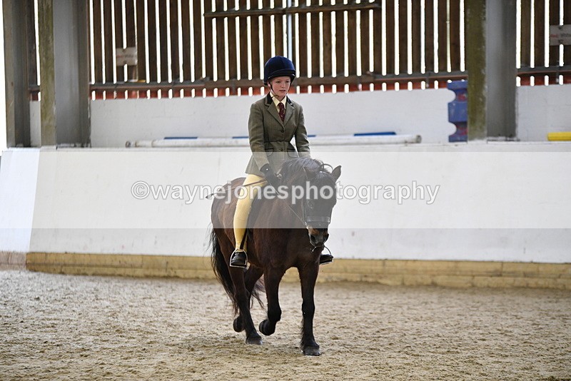 WJ5_6919 - Class 10 Childs Pony