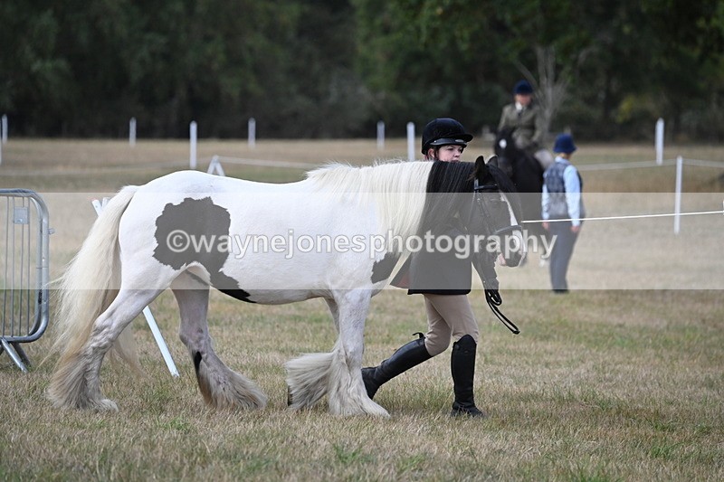 WJ6_6398 - Class 20 In-hand Cob
