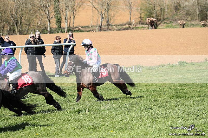 Shet 060426 306 - Shetland Pony Racing Paxford Races Easter Mon 06/04/26
