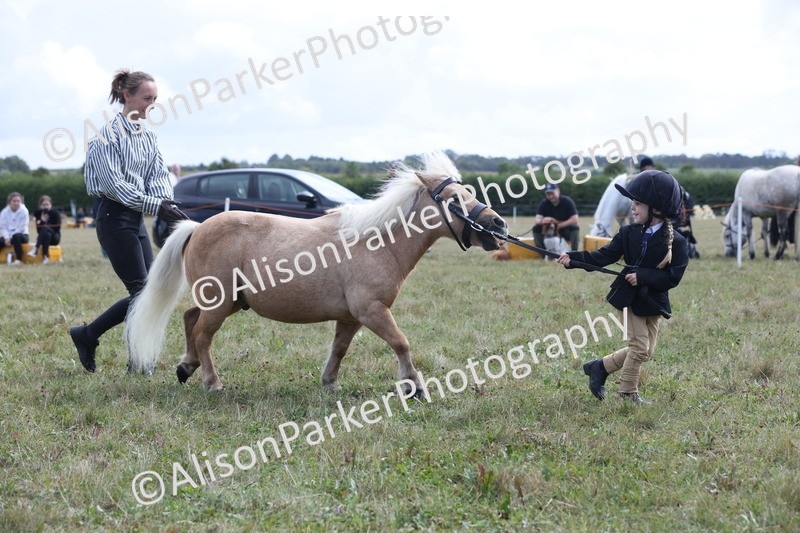 20250831-3046 - Class 23 - Child Handler