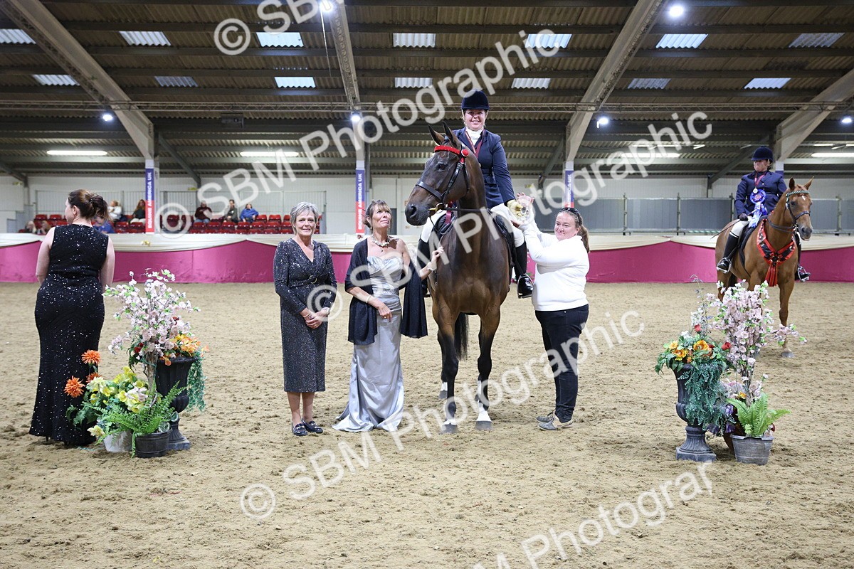 5K7A1520 - Class 108Ridden Retired Racehorse- Final Judging