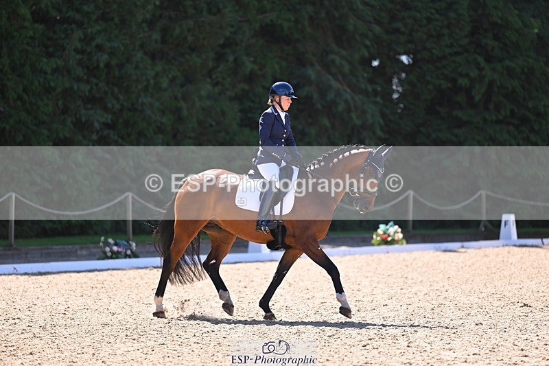 240809-111220-00518 - 133-Dawn.Bear-First.Taylor.Made