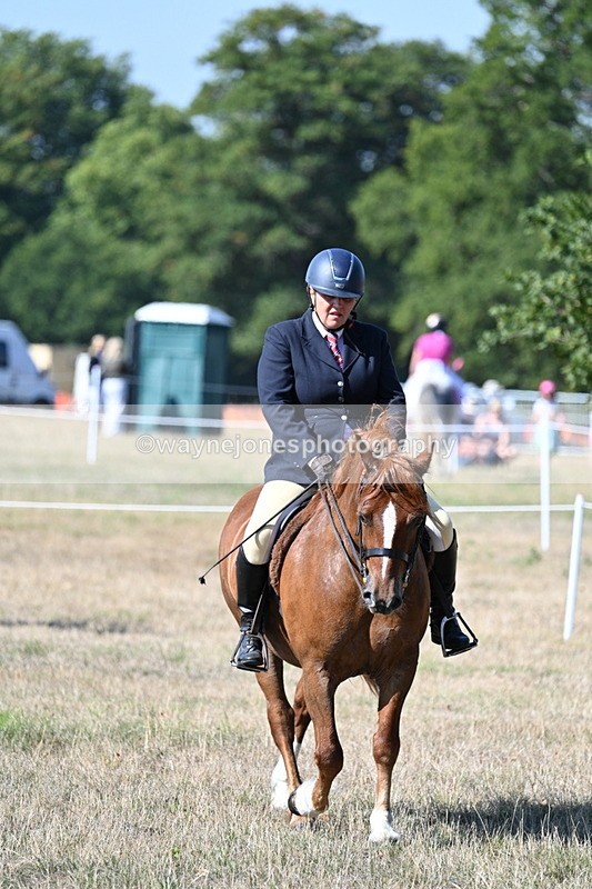 WJ7_3563 - Class 9 Mountain & Moorland Ridden